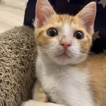 の写真