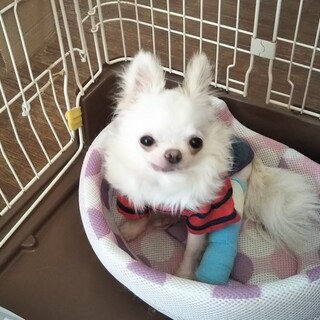 素敵なご縁を頂きました☺️