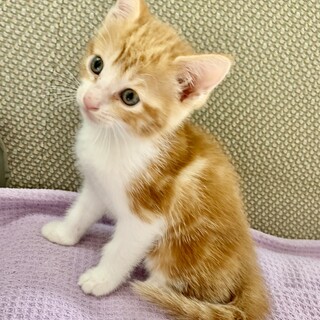 里親さま決まりました☆