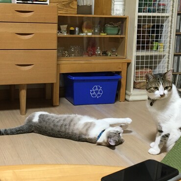 の写真