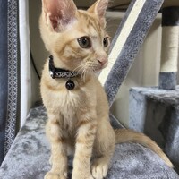 れいちゃん