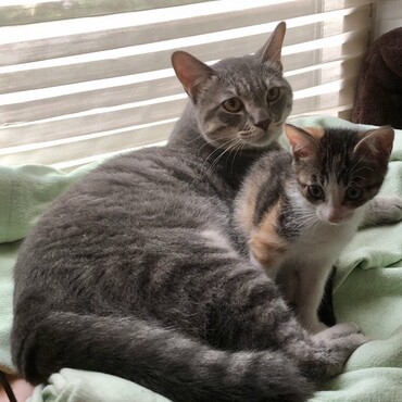 仲良しになれた。ホッとした。