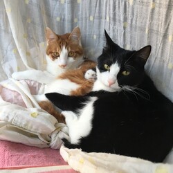 はじめましてのごあいさつ