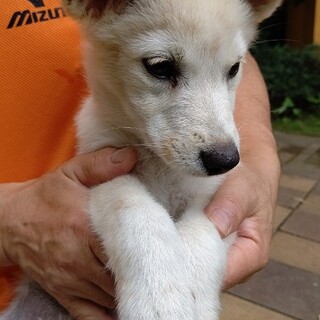 空ちゃん・・ありがとうございました。