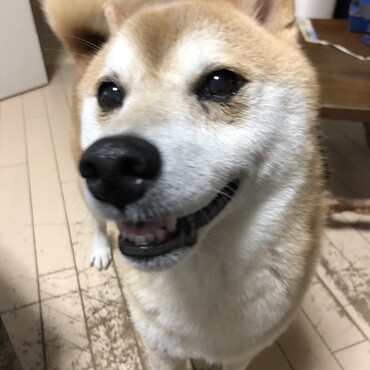 の写真