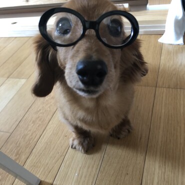 の写真
