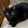 おっとりした甘えん坊のライ サムネイル2