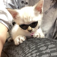 ユン