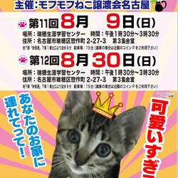 猫の譲渡会　in　名古屋市瑞穂区生涯学習センター