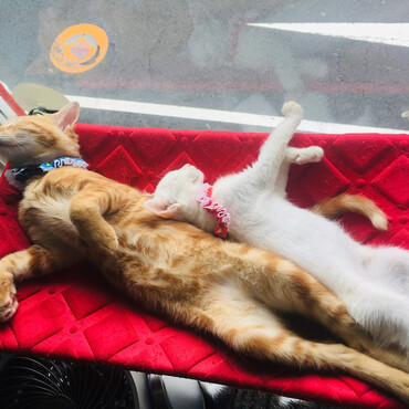 ユイちゃんの写真