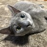 マロン＆パパ