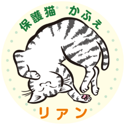 保護猫かふぇリアン1周年記念イベント＆プチ子猫譲渡会