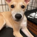 かぼすちゃん♡3ヶ月〜4ヶ月