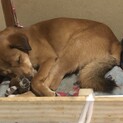 元気な子です！