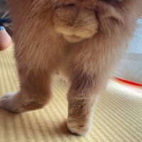 いなり