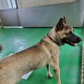 里親様決まりました！