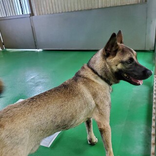 里親様決まりました！