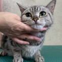 里親様に迎えられました。