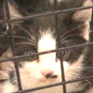 兄弟で1番小さい怖がりさん