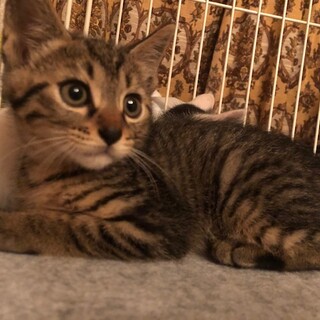 マイペースなしょうゆ君★