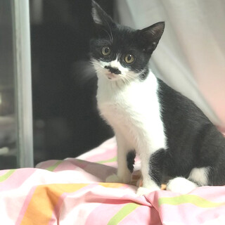 お茶目な男の子♡ビー君