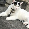 寛ぎタイム