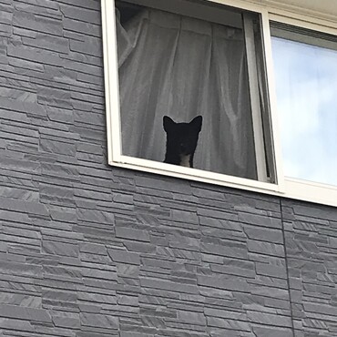 の写真