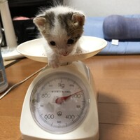考え中
