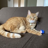 むぎ