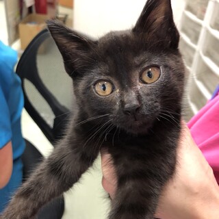 甘えん坊のクマちゃんみたいな男の子♫