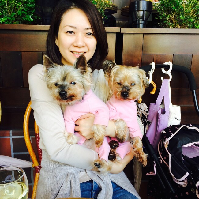 sstarのカバー写真