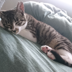 「やっと！おうち決定」サムネイル2