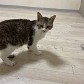 人懐っこい子です(^^)