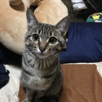 との