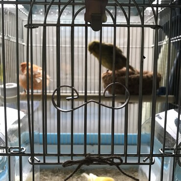 チャーチルとネロ