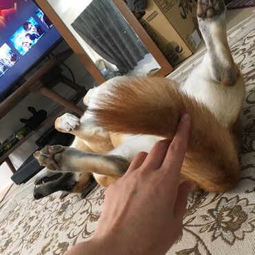 の写真