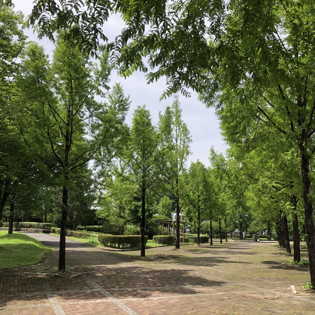beb0751のカバー写真