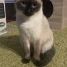 の写真
