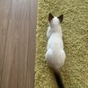 生後３ヶ月