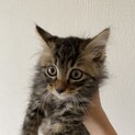ただ今交渉中です
