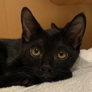 お膝大好き❣️すずむ君…4ヶ月