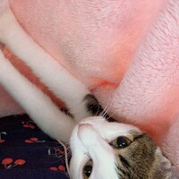 みぃ