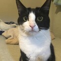 ちょっと慎重派だけどおてんばお利口・ずきん