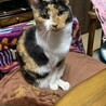 まりりー