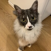 風ちゃん