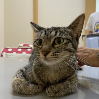 幼さ残るかわいい子です