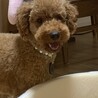 ニッコリ