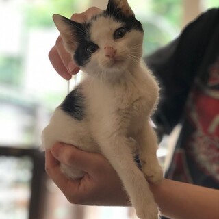 おっとりなみそちゃん♪