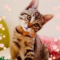 性格が抜群に良い子です♡