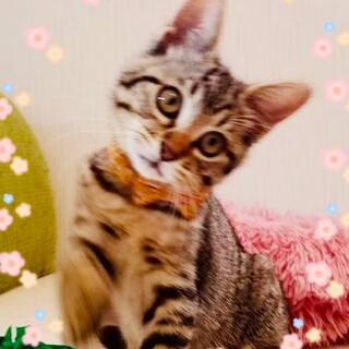 性格が抜群に良い子です♡